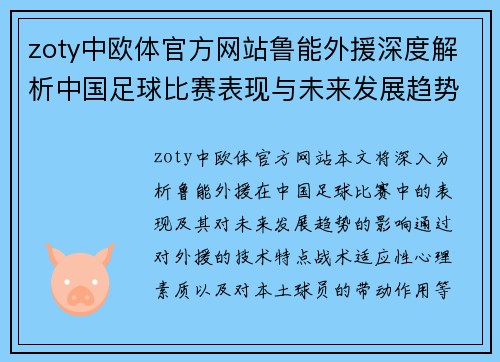 zoty中欧体官方网站鲁能外援深度解析中国足球比赛表现与未来发展趋势
